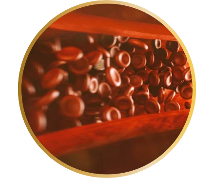erojan testosterone