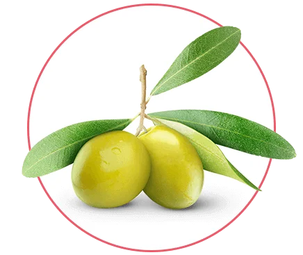dvine price